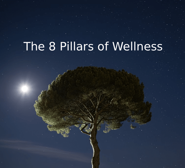 The 8 Pillars of Wellness